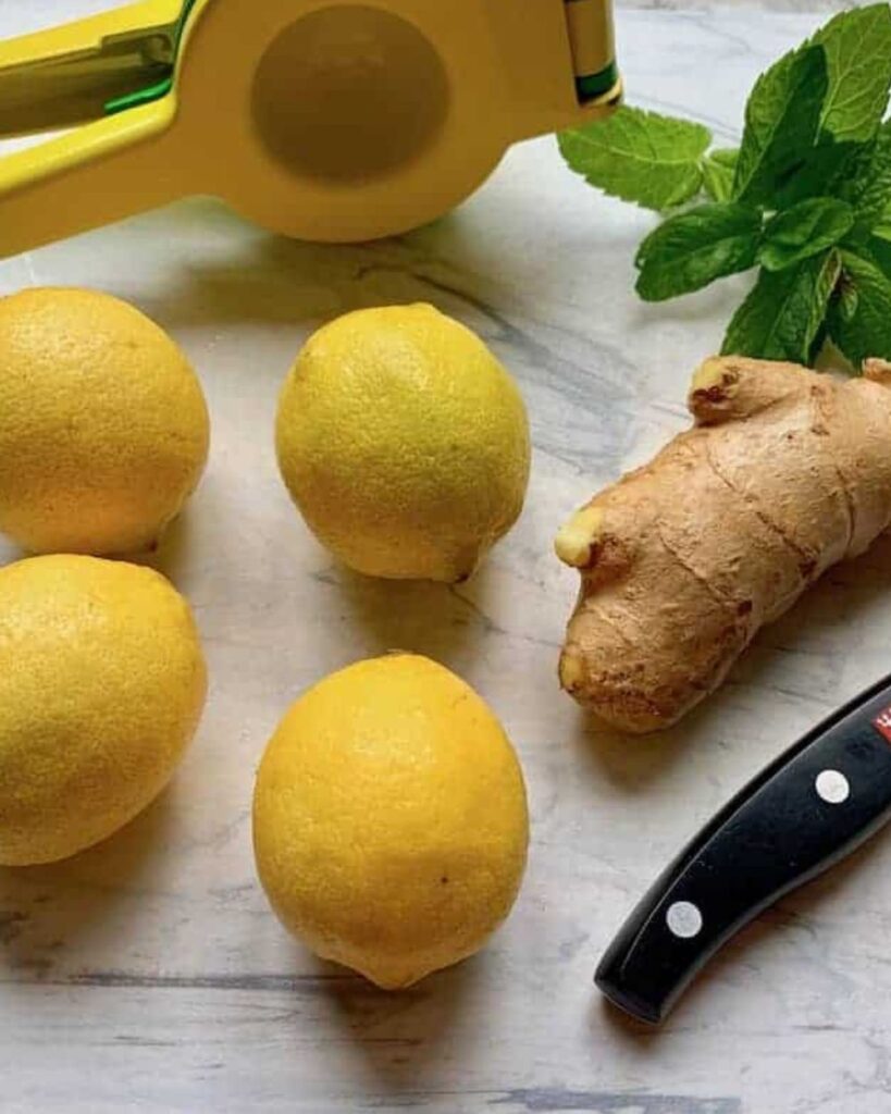 2 cups water
1 tablespoon fresh ginger, grated
1/2 cup lemon juice
1/2 cup sugar
Ice
Lemon slices for garnish