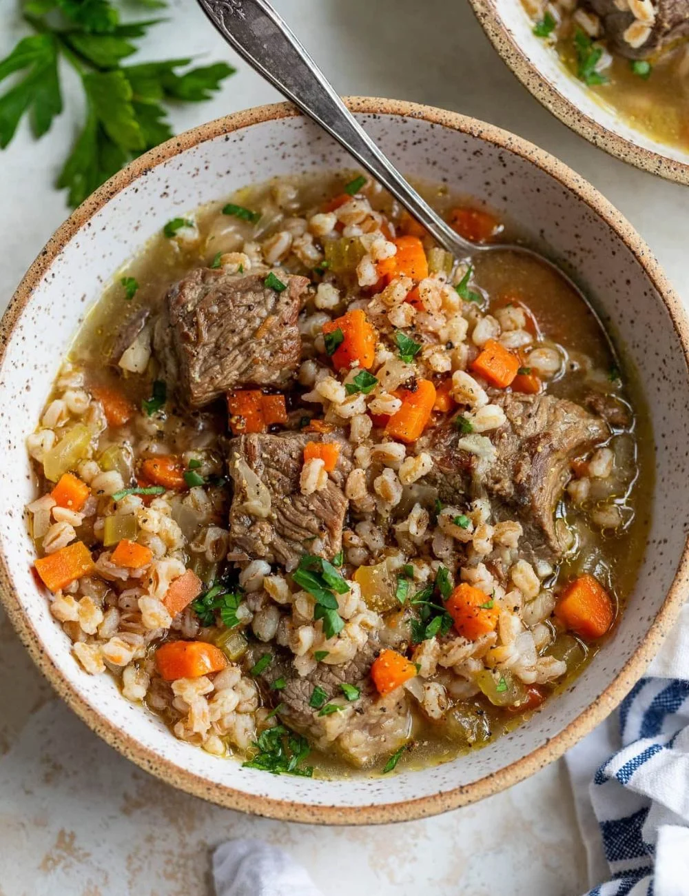 Bowl of delicious homemade beef barley soup with vegetables and herbs