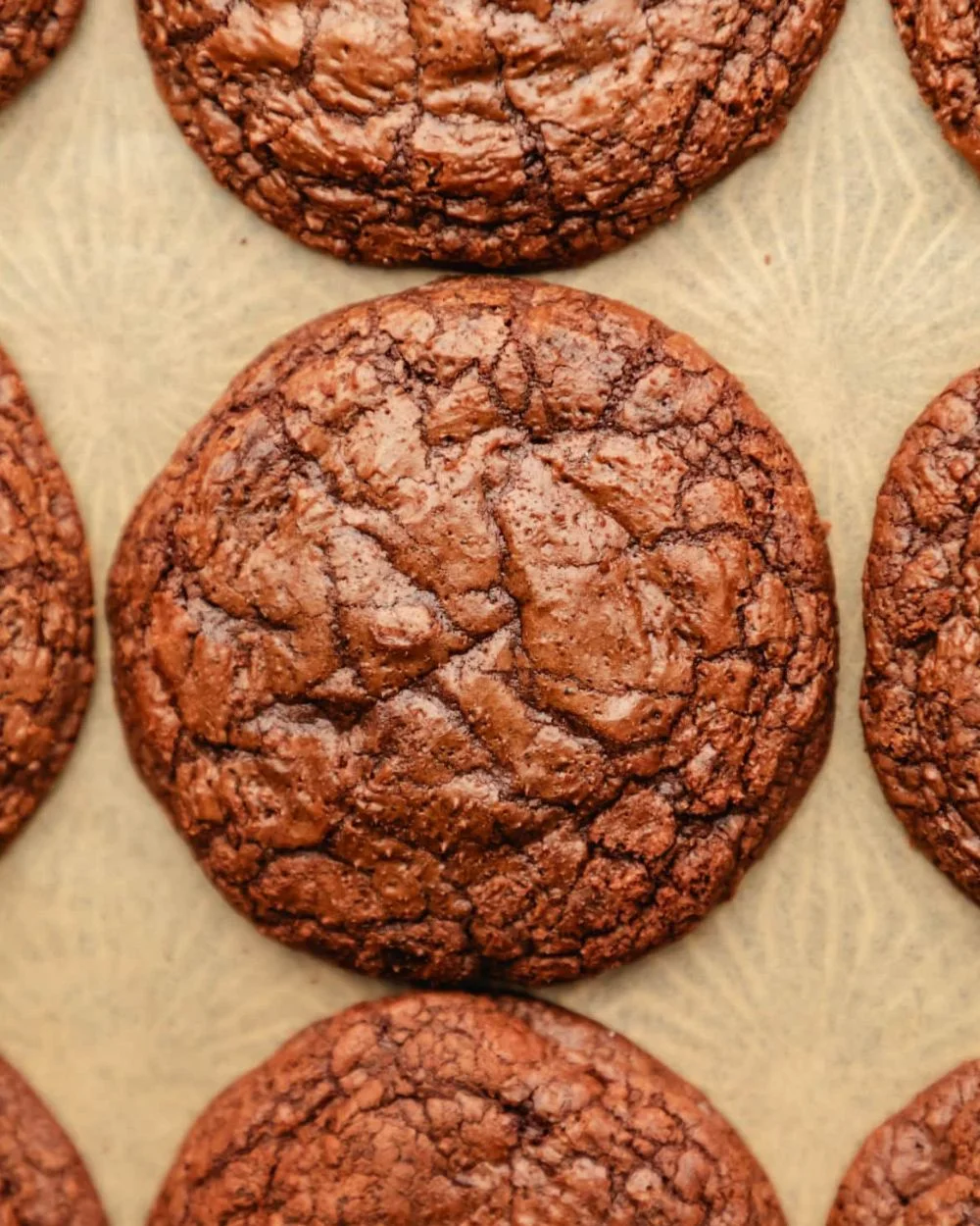 Delicious homemade brownie cookie ready to be served.