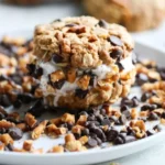 Sweet and salty ice cream sandwiches with delicious flavors and textures.