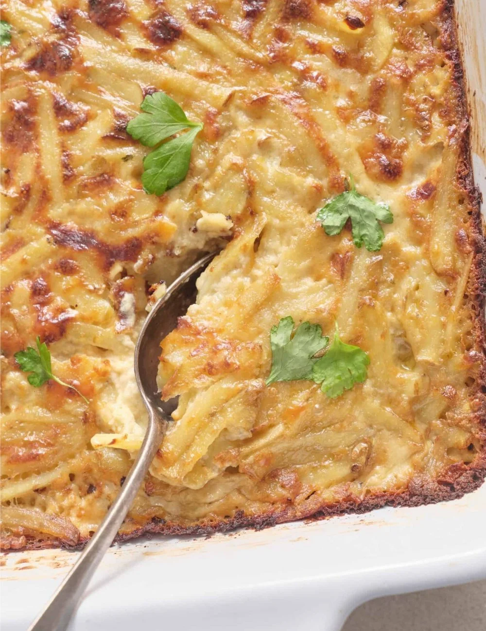 Delmonico Potatoes served as a delicious side dish